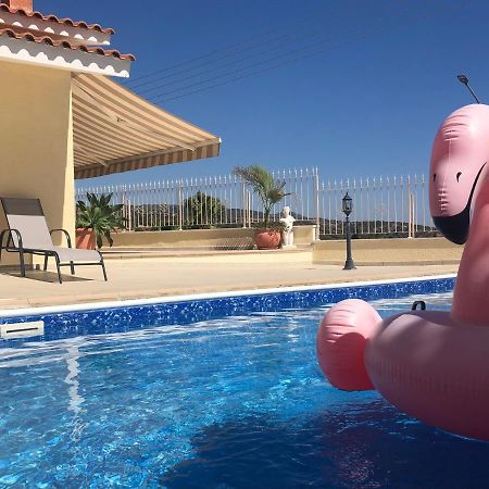 Peyia Palm Villa Paphos Kültér fotó