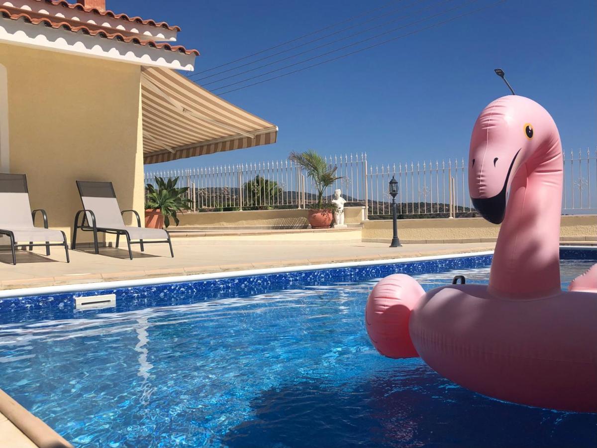 Peyia Palm Villa Paphos Kültér fotó